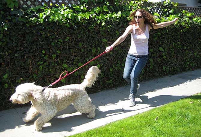 de qué lado se supone que debes pasear a tu perro