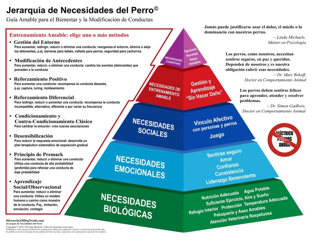 HierarchyofDogNeedsSPANISH_Revision_WEB