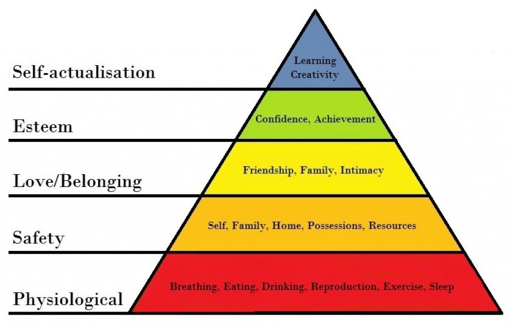 La pirámide de Maslow en perros
