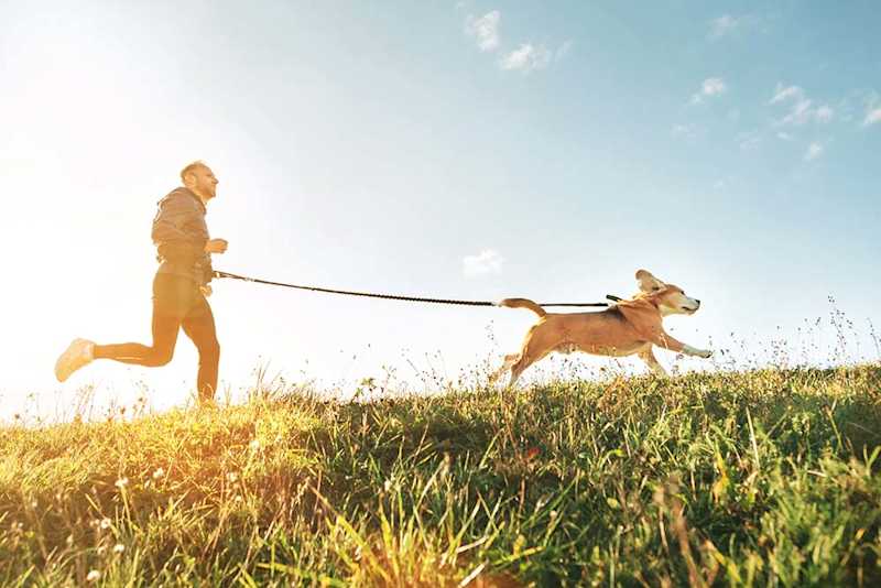 rutina de ejercicio con tu perro