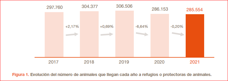 Evolución interanual perros abandonados