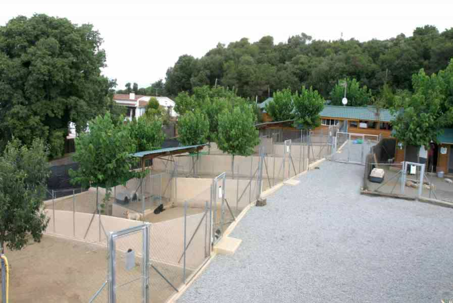 Dos Rosas Pet Resort: Un Paraíso Natural para Perros en Dosrius, Barcelona 