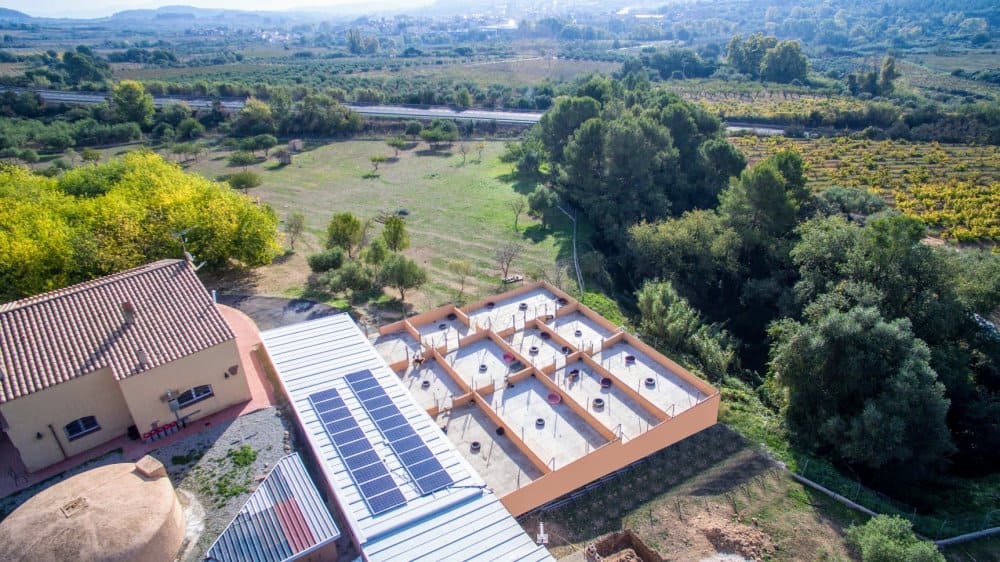 Residencia Canina Can Llosses: Tranquilidad y Naturaleza en el Corazón de Collserola 