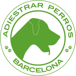 Adiestrar Perros Barcelona