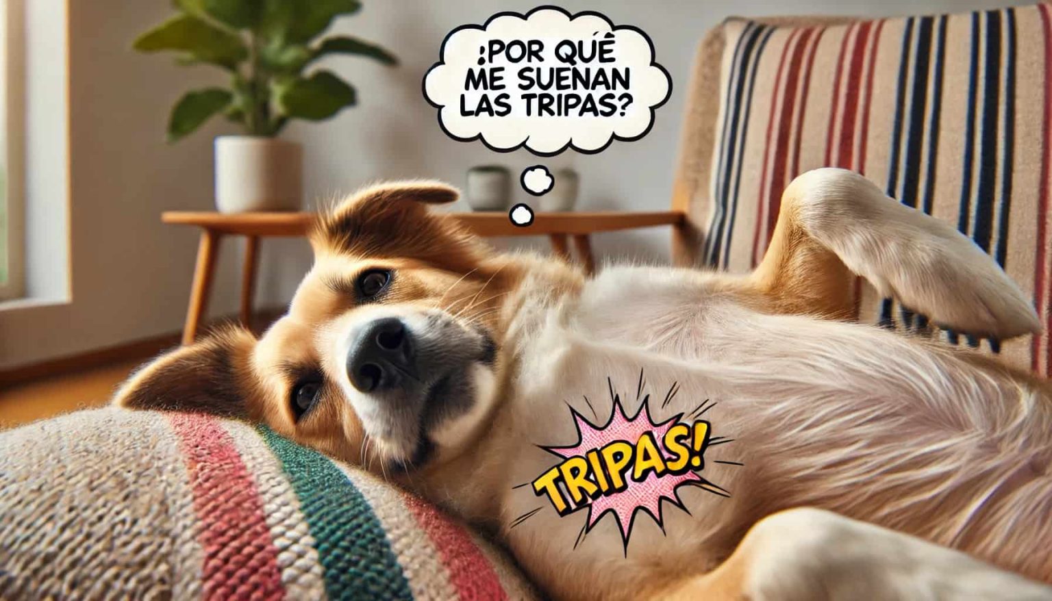 A Mi Perro Le Gruñen Las Tripas