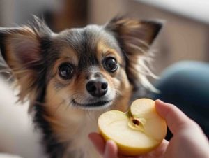 ¿Es buena la manzana para los perros?