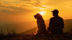 ¿Por qué los perros comen caca?