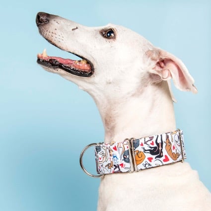 Collar martingale para perros