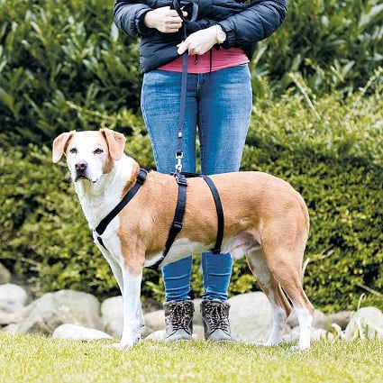 arneses anti escape para perros